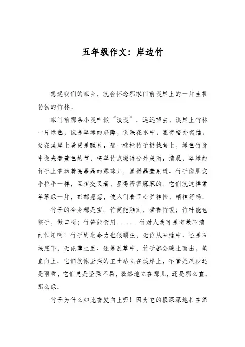 五年级作文：岸边竹