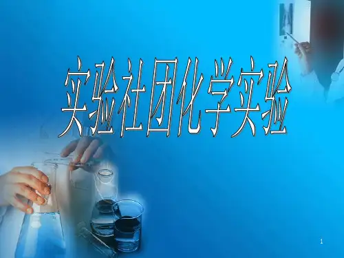 化学实验报告(银镜反应、风暴瓶)PPT