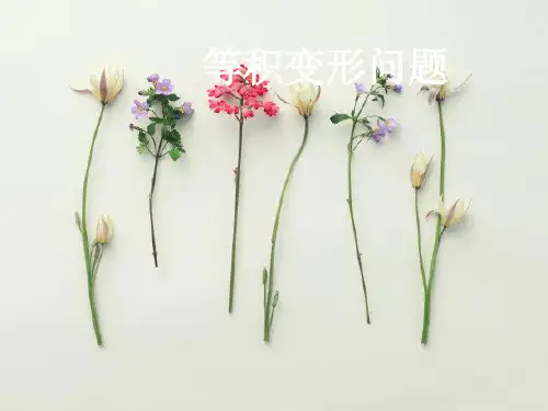 等积变形PPT教学课件