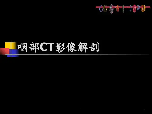 鼻咽部的CT解剖PPT课件