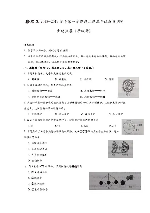 徐汇区2019年高二高三第一学期期末(一模)学科质量检测生物试题及答案【精品】