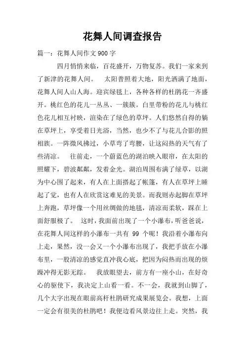 花舞人间调查报告doc
