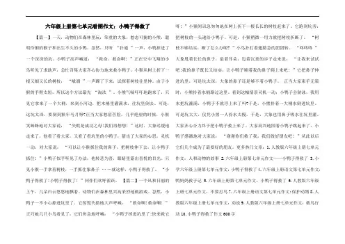 六年级上册第七单元看图作文：小鸭子得救了