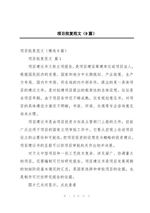 项目批复范文(9篇)