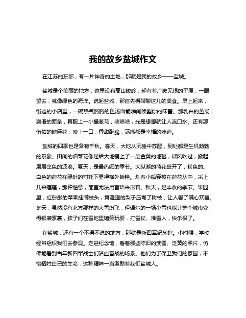 我的故乡盐城作文