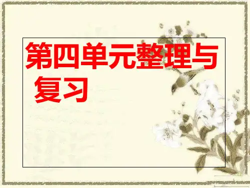 1西师版六年级上册数学第四单元《整理与复习》PPT课件