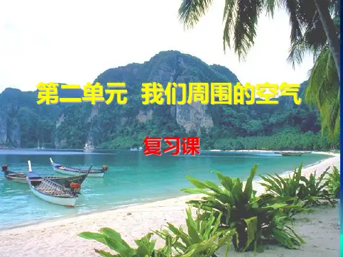 人教版九年级化学上册【课件】复习课  第二单元我们周围的空气