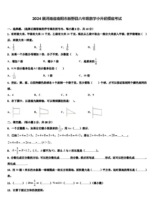 2024届河南省南阳市新野县六年级数学小升初摸底考试含解析