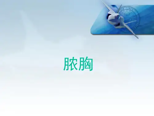 脓胸精品课件