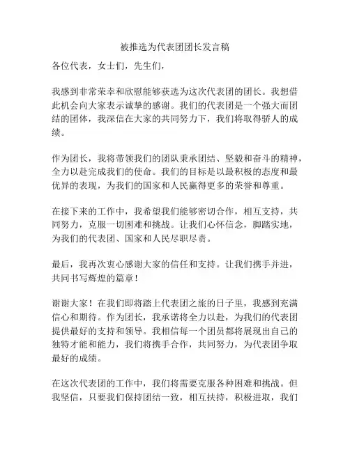 被推选为代表团团长发言稿