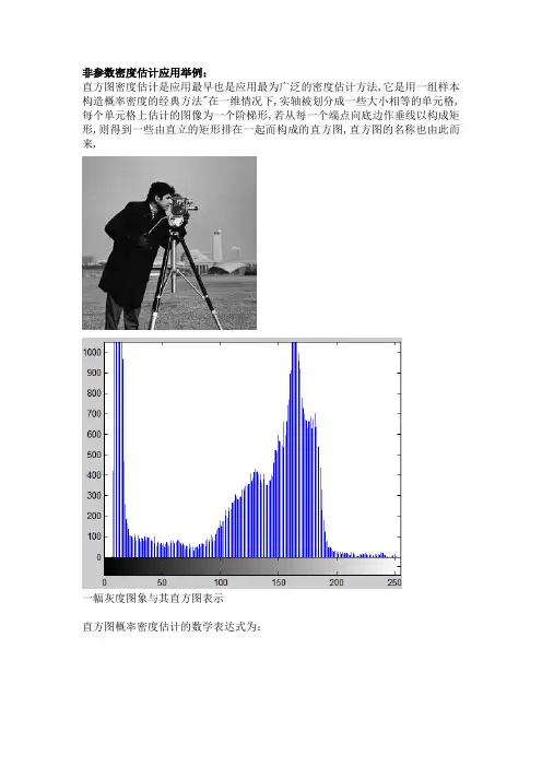 非参数密度估计应用举例
