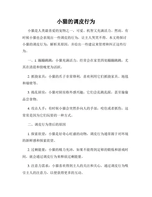 小猫的调皮行为
