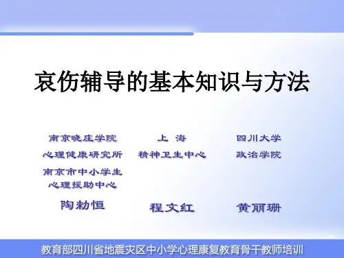 哀伤辅导