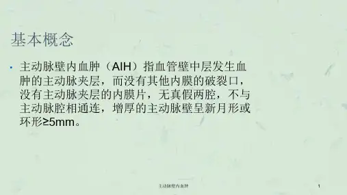 主动脉壁内血肿课件