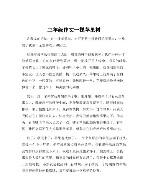三年级作文一棵苹果树