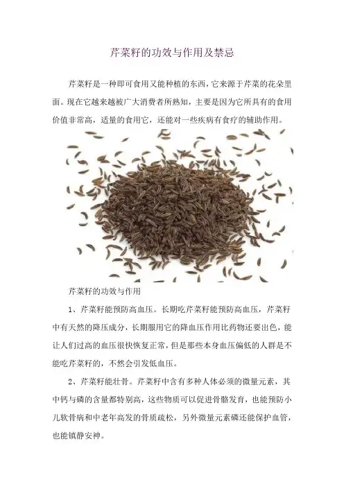 芹菜籽的功效与作用及禁忌