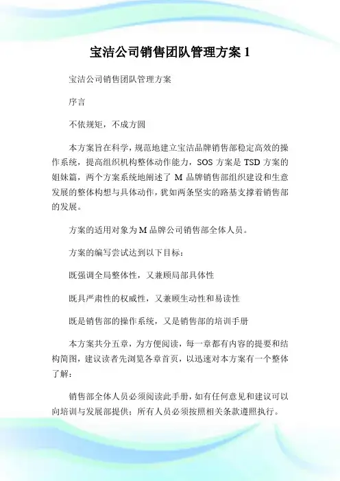 宝洁公司销售团队管理方案完整篇.doc