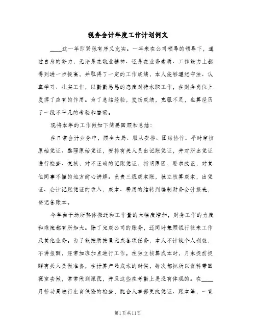 税务会计年度工作计划例文（四篇）