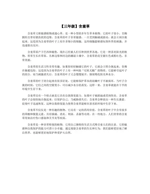 【三年级】含羞草