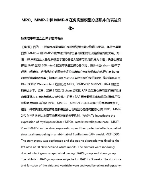 MPO、MMP-2和MMP-9在兔房颤模型心房肌中的表达变化