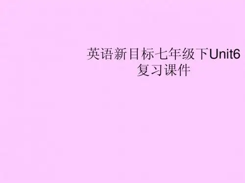 英语：Unit 6 It’s raining复习课件(人教新目标七年级下)