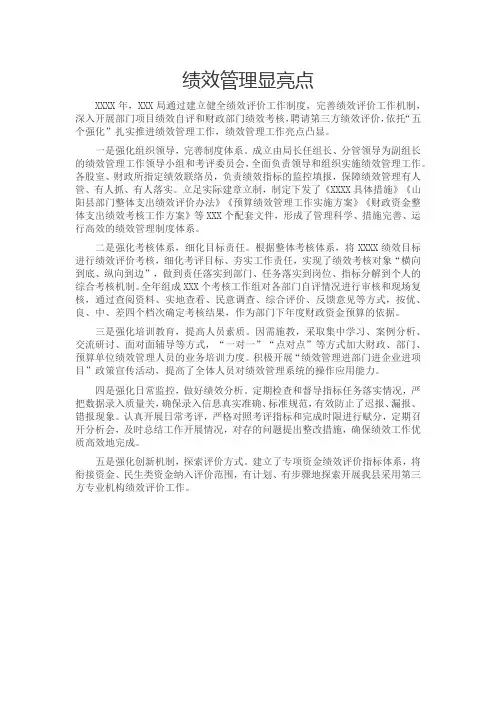 绩效管理亮点模板