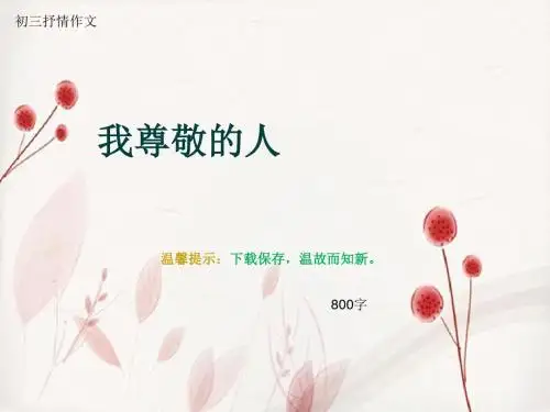 初三抒情作文《我尊敬的人》800字(总12页PPT)