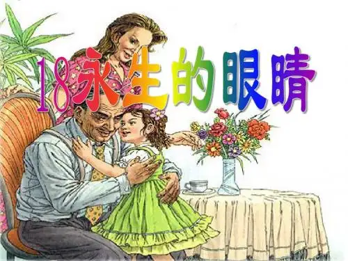 《永生的眼睛》PPT课件3