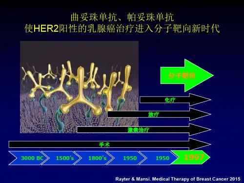 HER阳性复发转移乳腺癌诊疗策略优质PPT课件