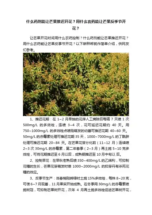 什么药剂能让芒果推迟开花？用什么农药能让芒果反季节开花？