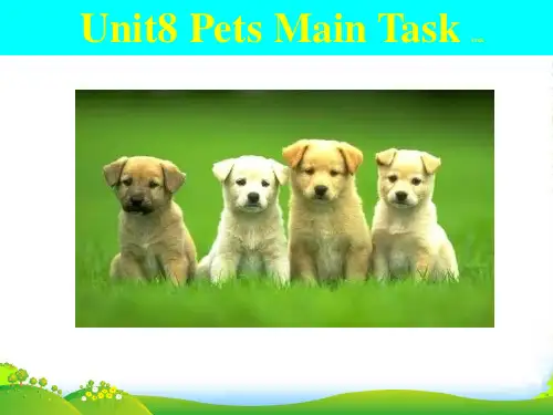牛津译林版七年级英语下册《Unit 8 Pets》main task 优课件