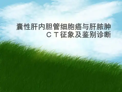 胆管细胞癌与肝脓肿的CT鉴别PPT课件