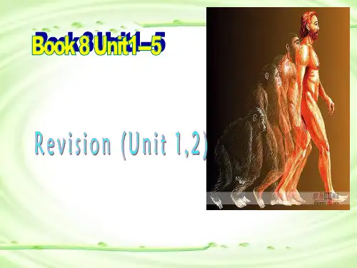 高中英语选修8_Units1-5_知识点复习课件(人教新课标)