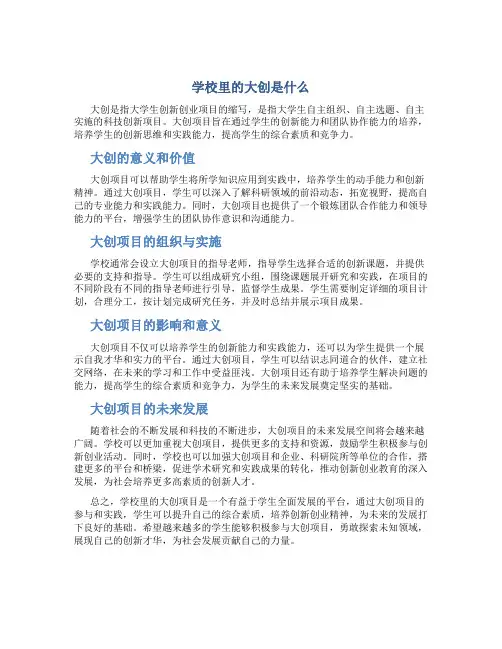 学校里的大创是什么