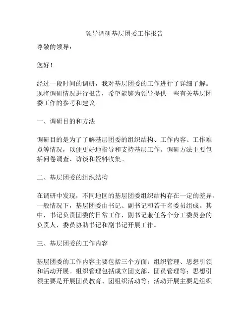 领导调研基层团委工作报告