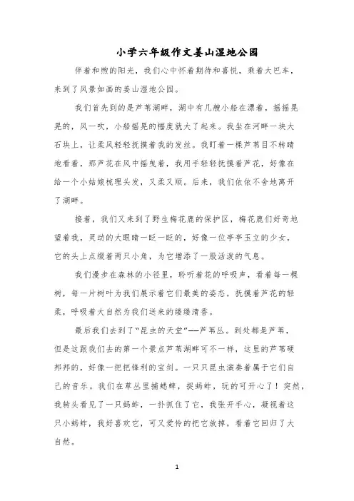 小学六年级作文姜山湿地公园