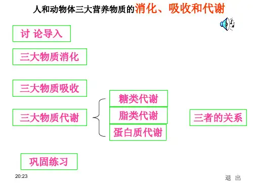 人和动物体三大营养物质的消化、吸收和代谢