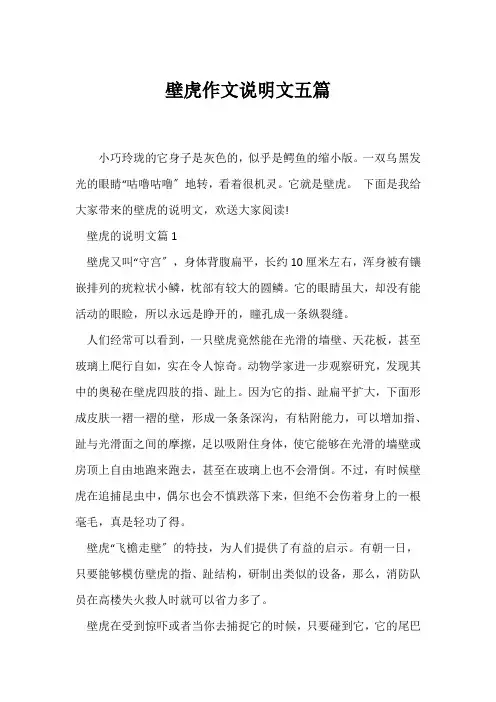(说明文)壁虎作文说明文五篇