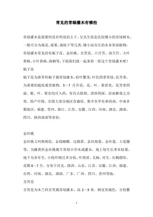 常见的常绿灌木有哪些
