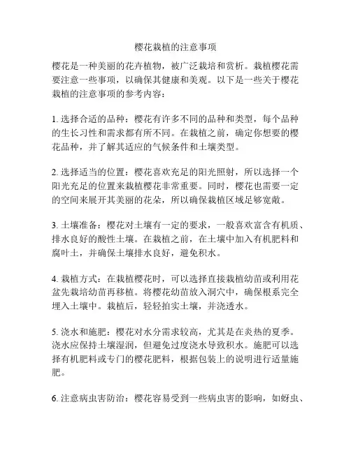 樱花栽植的注意事项