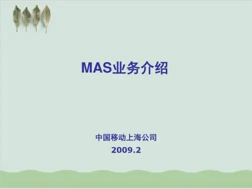 中国移动MAS业务介绍PPT课件( 27页)