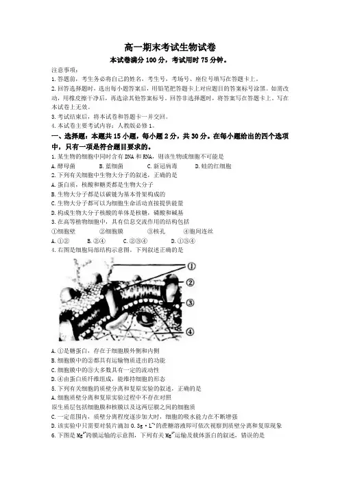 高一上学期期末生物试题