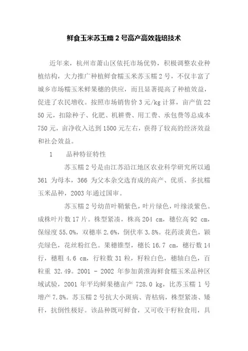 鲜食玉米苏玉糯2号高产高效栽培技术
