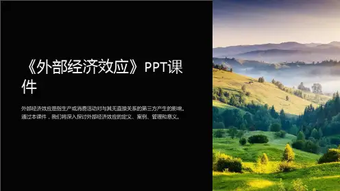 《外部经济效应》课件
