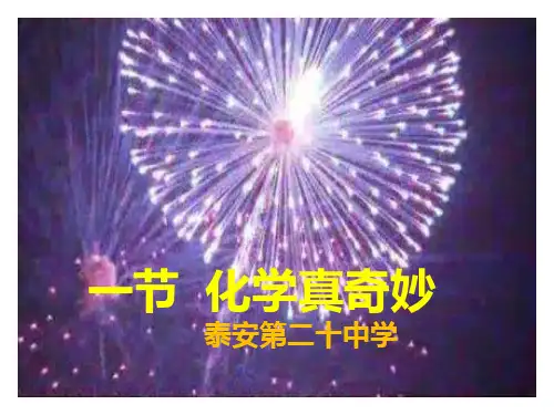 神奇的化学变化-上课PPT课件