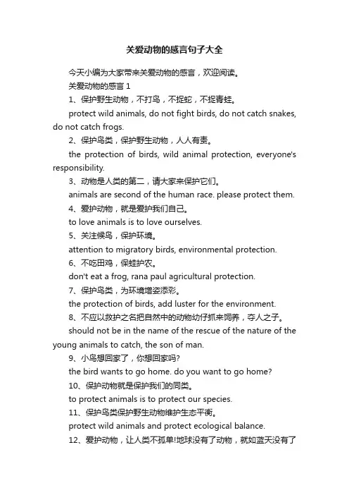 关爱动物的感言句子大全