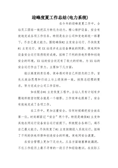 迎峰度夏工作总结(电力系统)