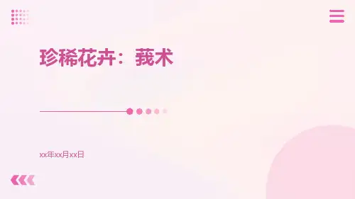 珍稀花卉：莪术