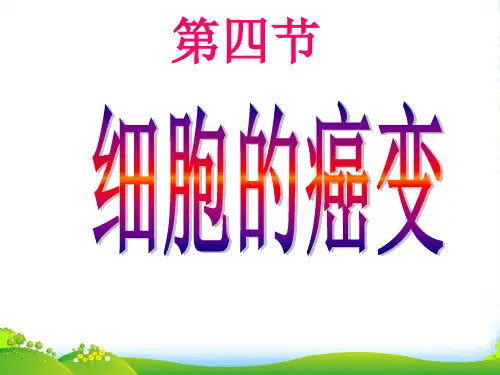 高级中学人教版高中生物必修一课件：6.4细胞的癌变 (共20张PPT)