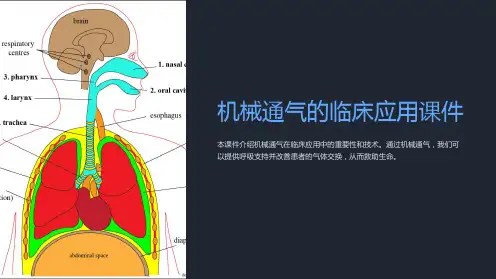机械通气的临床应用课件